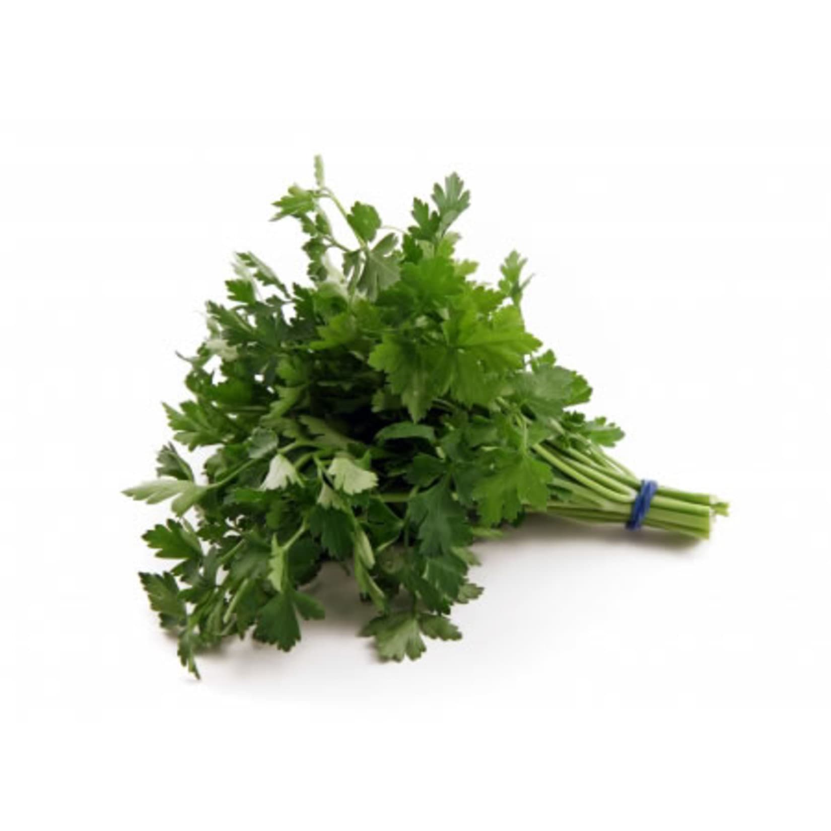 Parsley