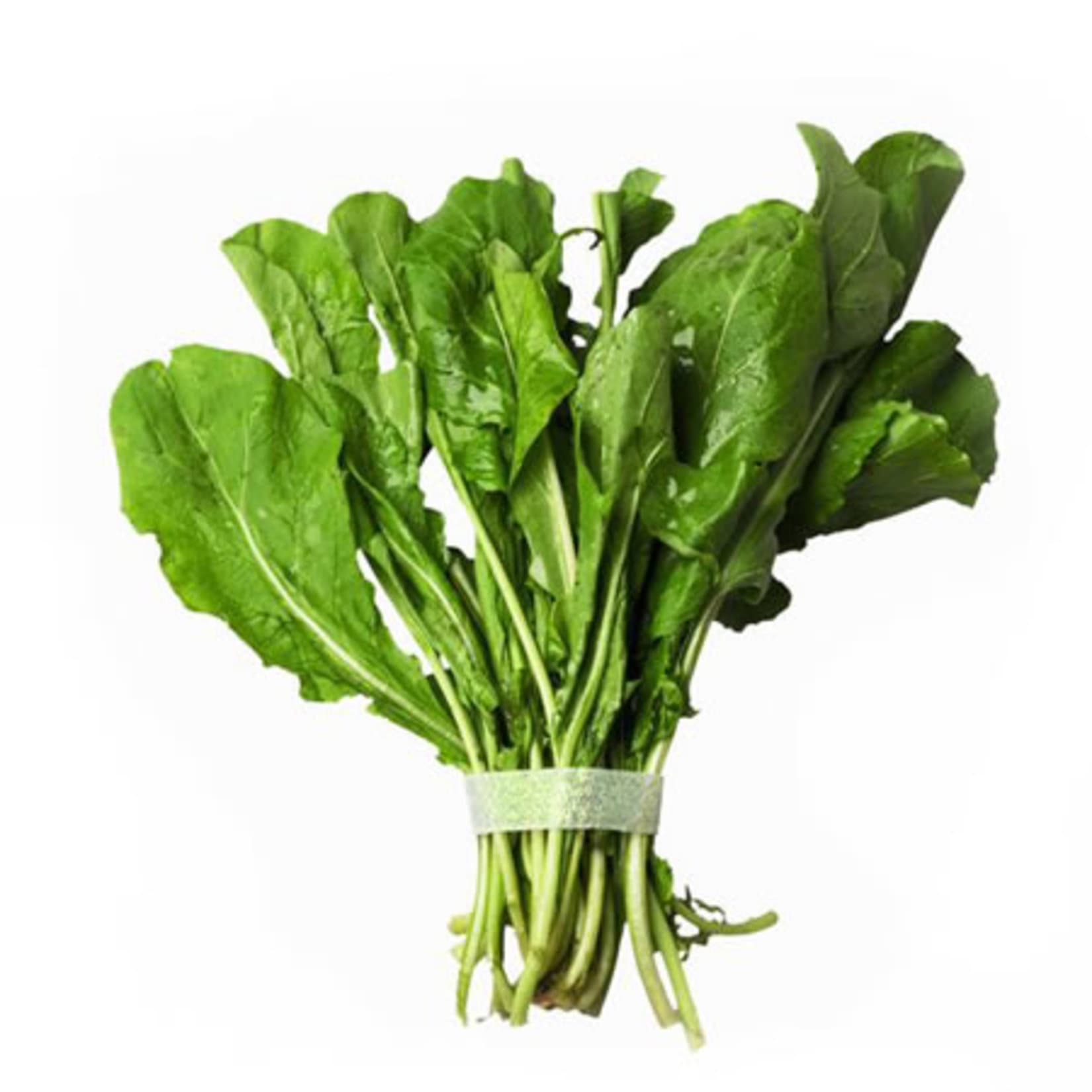 Rocket (Arugula)